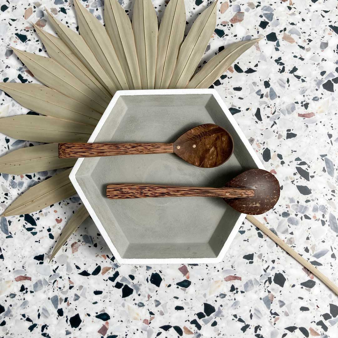 Coco Shell Spoon Duo