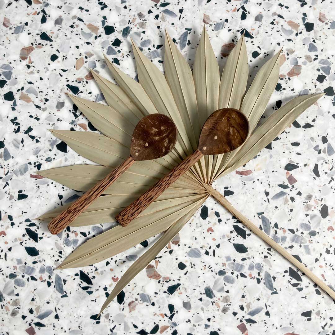 Coco Shell Spoon Duo