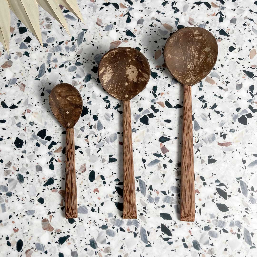 Coco Shell Spoon Family