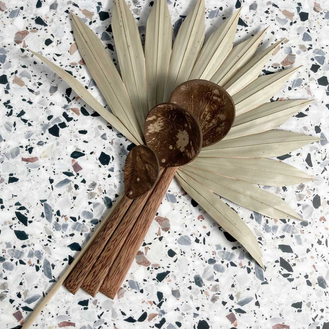 Coco Shell Spoon Family