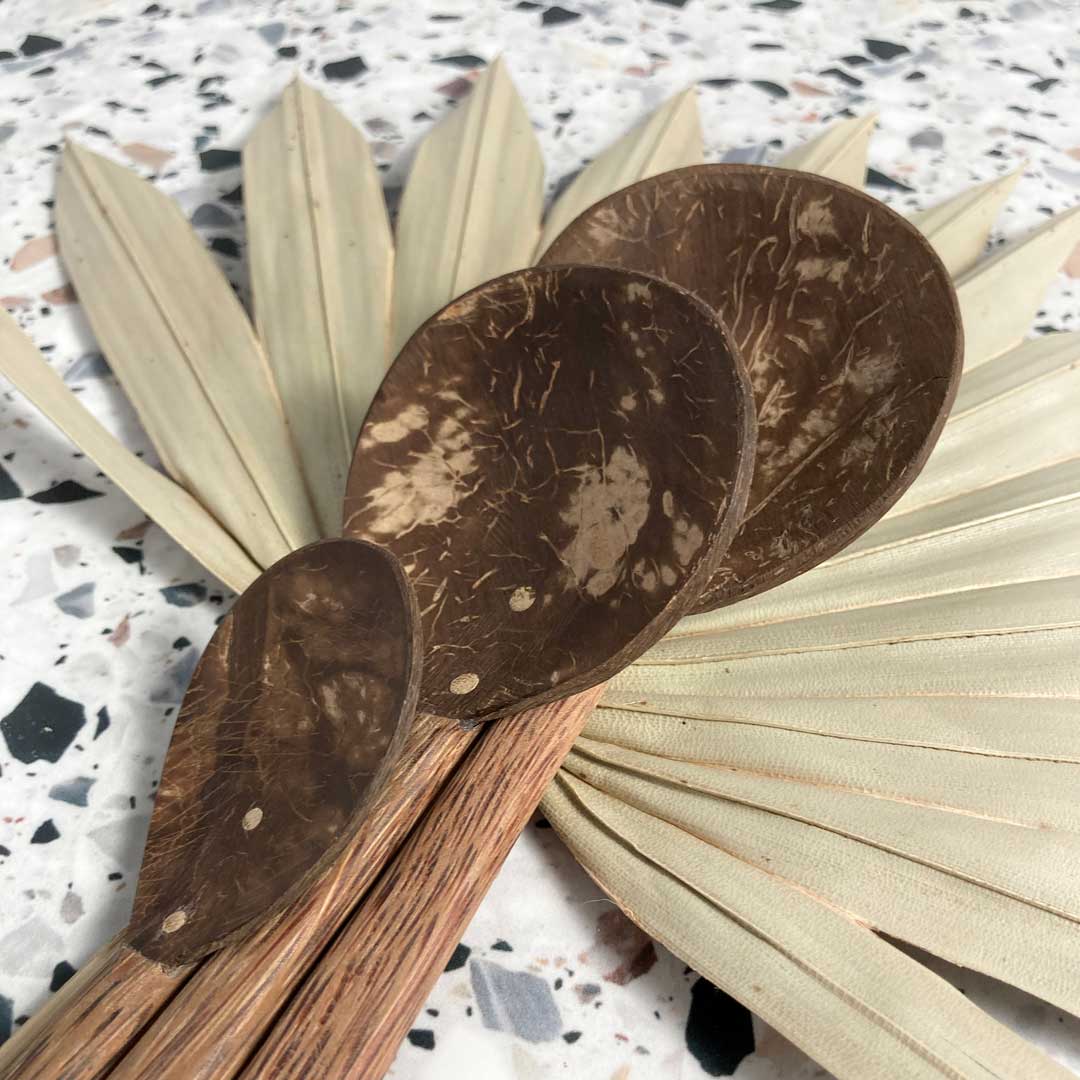 Coco Shell Spoon Family