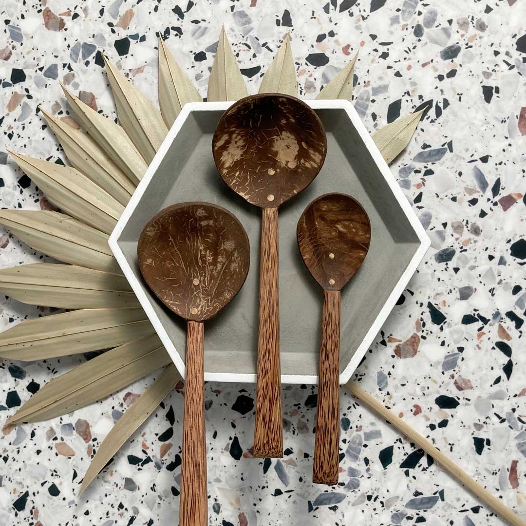 Coco Shell Spoon Family