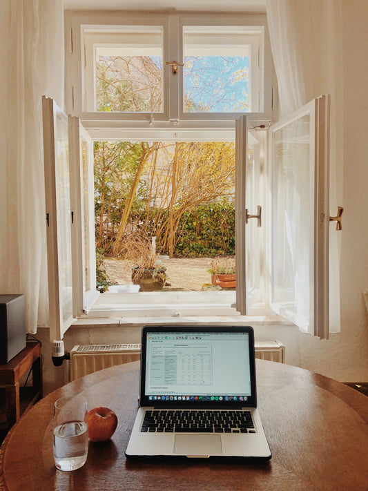 A laptop and seen of nature through a window