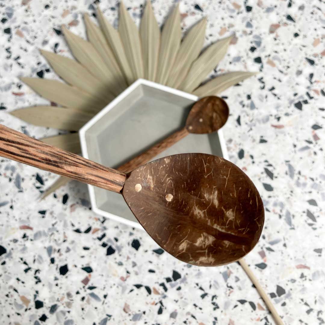Coco Shell Spoon Duo